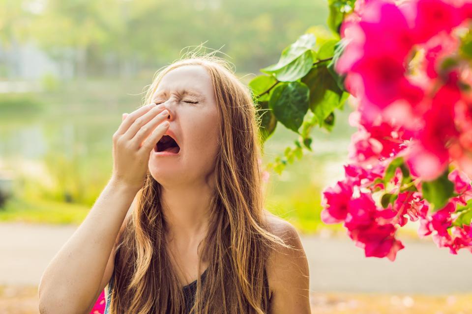 Have you been forgetful lately ? Ever thought Hay Fever might be the cause ?