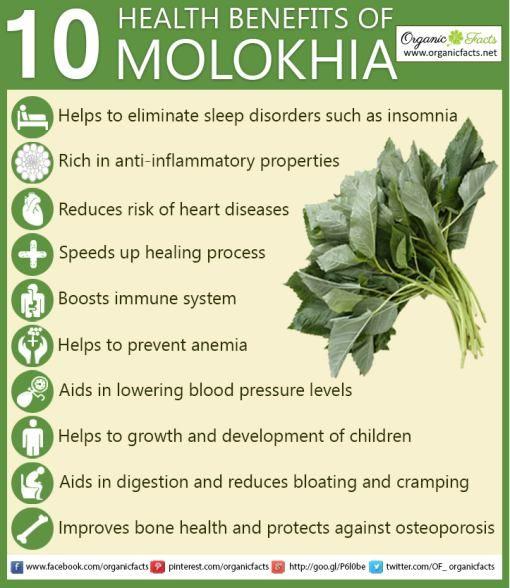 What is Molokhia? 13 amazing health benefits (and recipe tips)