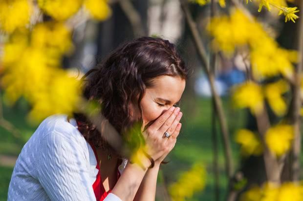 Hay fever – Sneezing and Wheezing ? How about Some Natural Relief ?