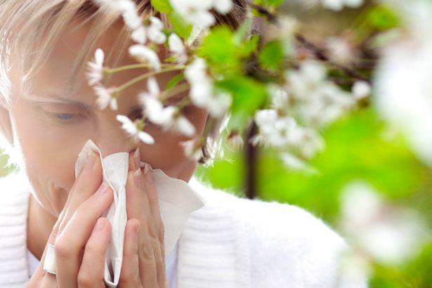 Hay Fever – Don’t let summer get up your nose!