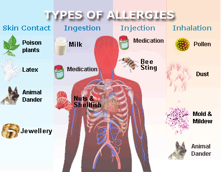 Cause of Allergies