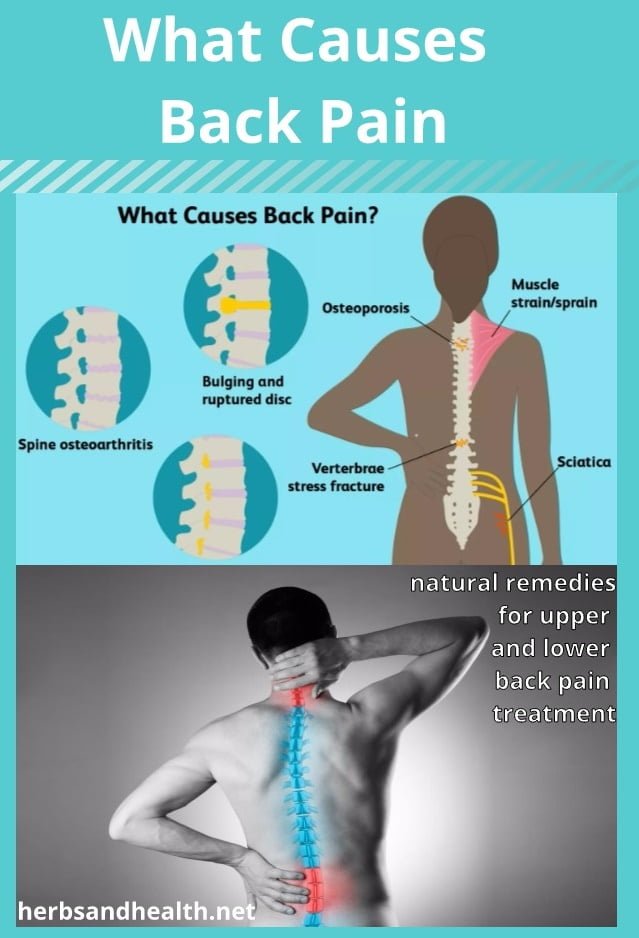 Back Pain