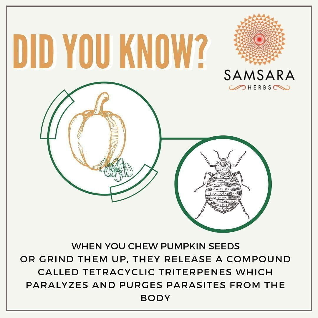 Raw, organic pumpkin seeds have been used historically to treat a variety of ail…