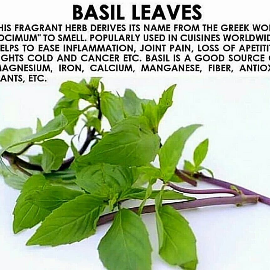 Swipe  Basil is an alkaline plant.  It is useful for many things.  Be sure to fo…