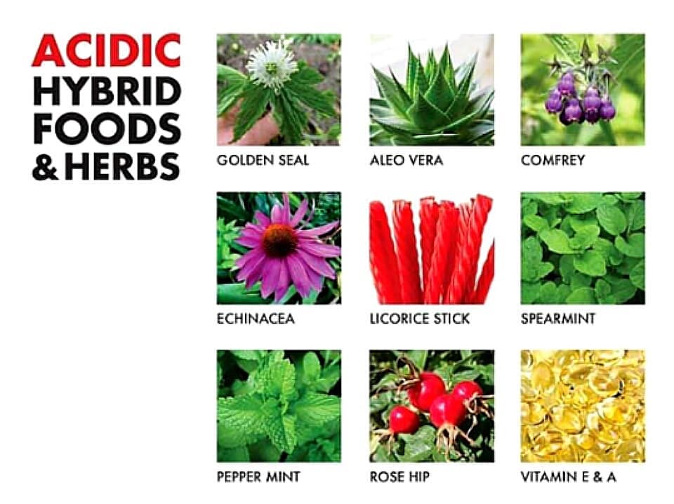 Not all plants and herbs are good.  These herbs and plants are actually hybrids….