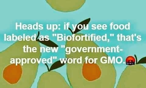 Beware of GMOs

Dr. Sebi Alkaline Vegan, Real food, Natural Holistic Healing 
.
…