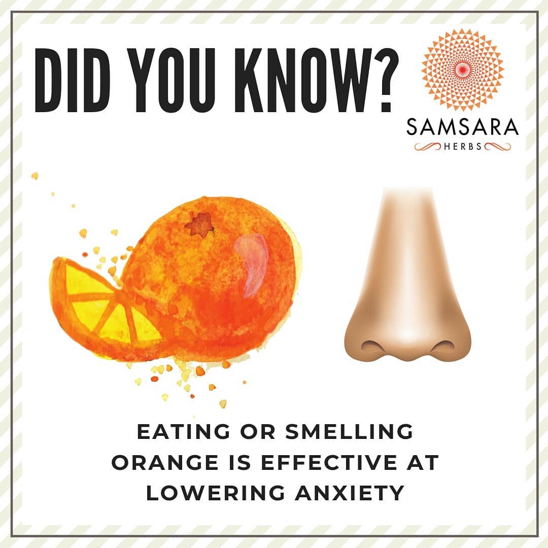 Have you ever smelt an orange, only to find yourself in a great mood? It may sou…