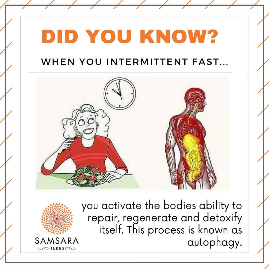 During the “fasted state” (the hours in which your body is not consuming or dige…