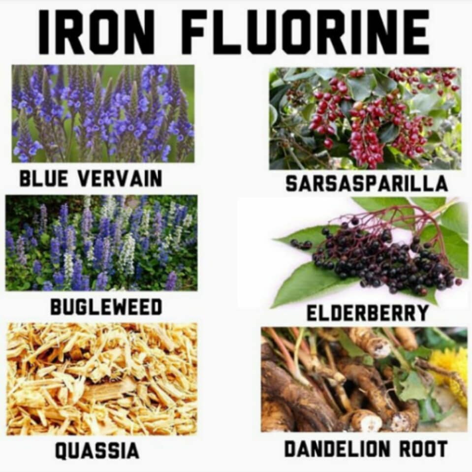 So many benefits to your health by getting your iron fluorine.  These are some o…