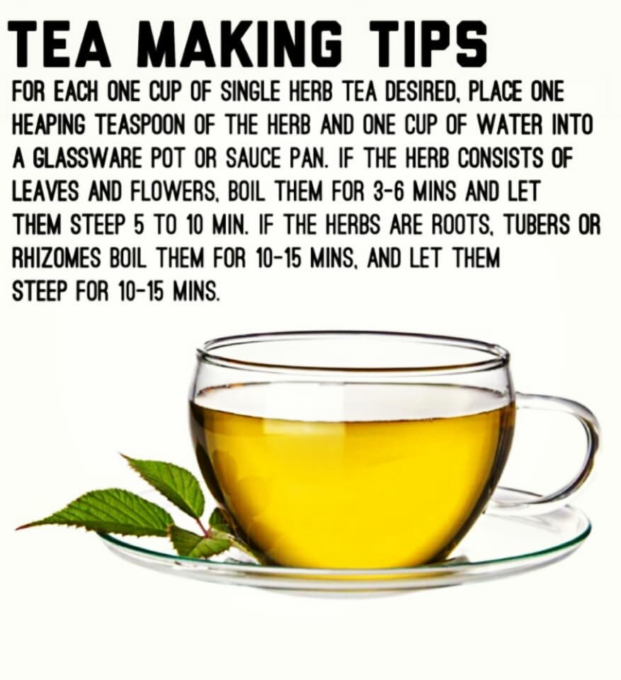 Did you know that drinking herbal tea has many benefits?

Follow 
 for great con…