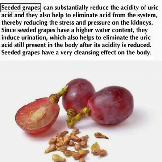 SEEDES grapes.

Follow
 for ancient wisdom

#grapes #uricacid #fruit #herbs #med…