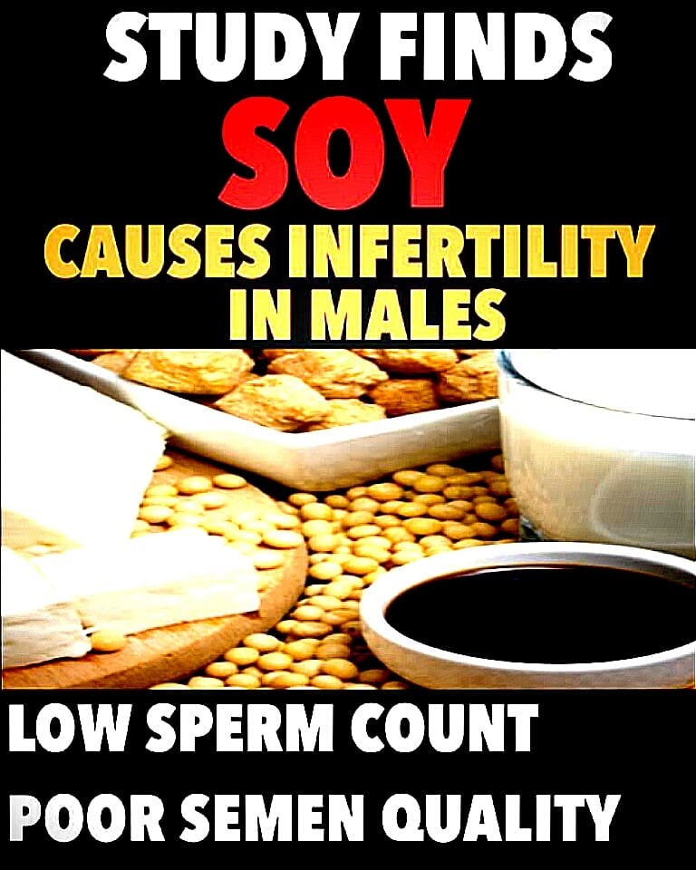 High levels of soy especially in overweight men drastically lowers sperm count. …