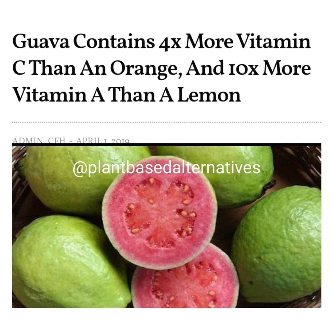 The Guava is an extremely healthy, vitamin-filled tropical fruit. The Guava frui…