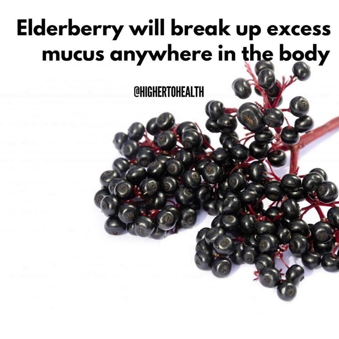 Did you know?

Follow  for Daily Natural Remedies and Tips!

Elderberry Tea or S…