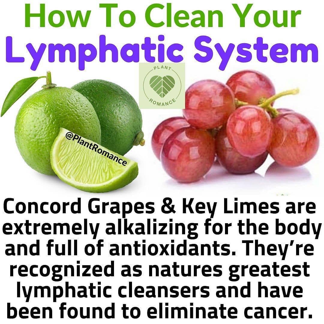 Do you consume Limes and Grapes daily   You should start By 
.
TAG-SAVE-SHARE
.
…