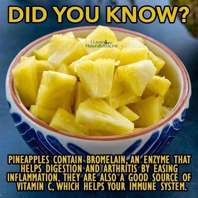 Did you know?

Follow  for Daily Natural Medicine and Remedies!

Pineapples are …