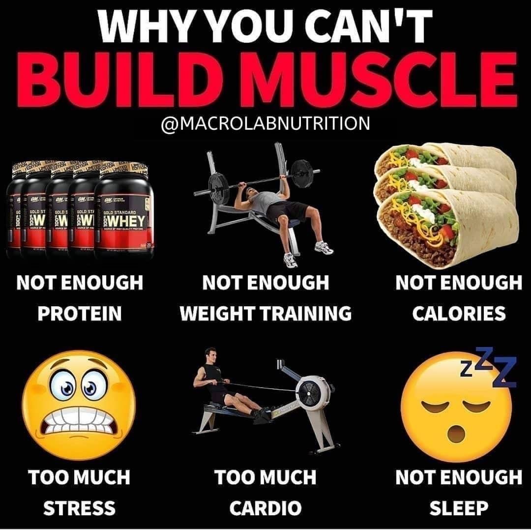 WHY YOU CAN’T BUILD MUSCLE By .⠀⠀⠀⠀⠀⠀⠀⠀⠀⠀ Are you struggling to build ...
