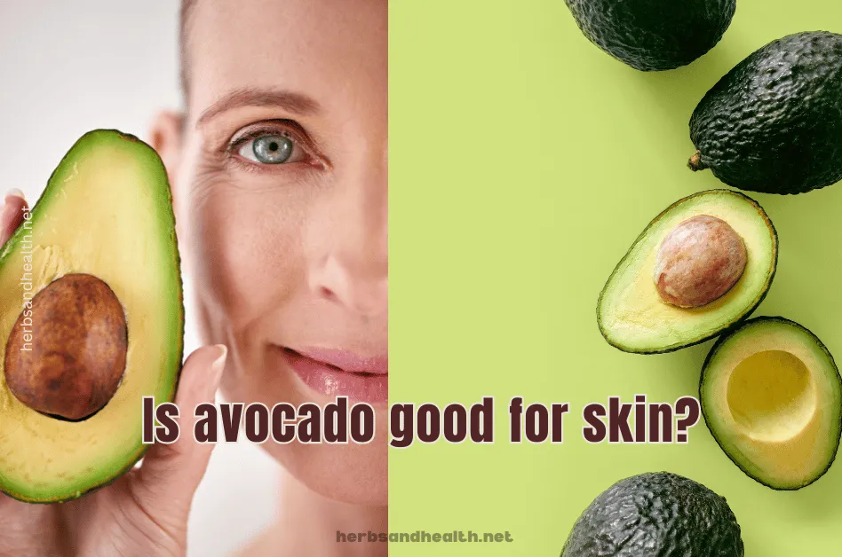 Avocado Health Benefits: Why This Superfood Deserves a Daily Spot on Your Plate