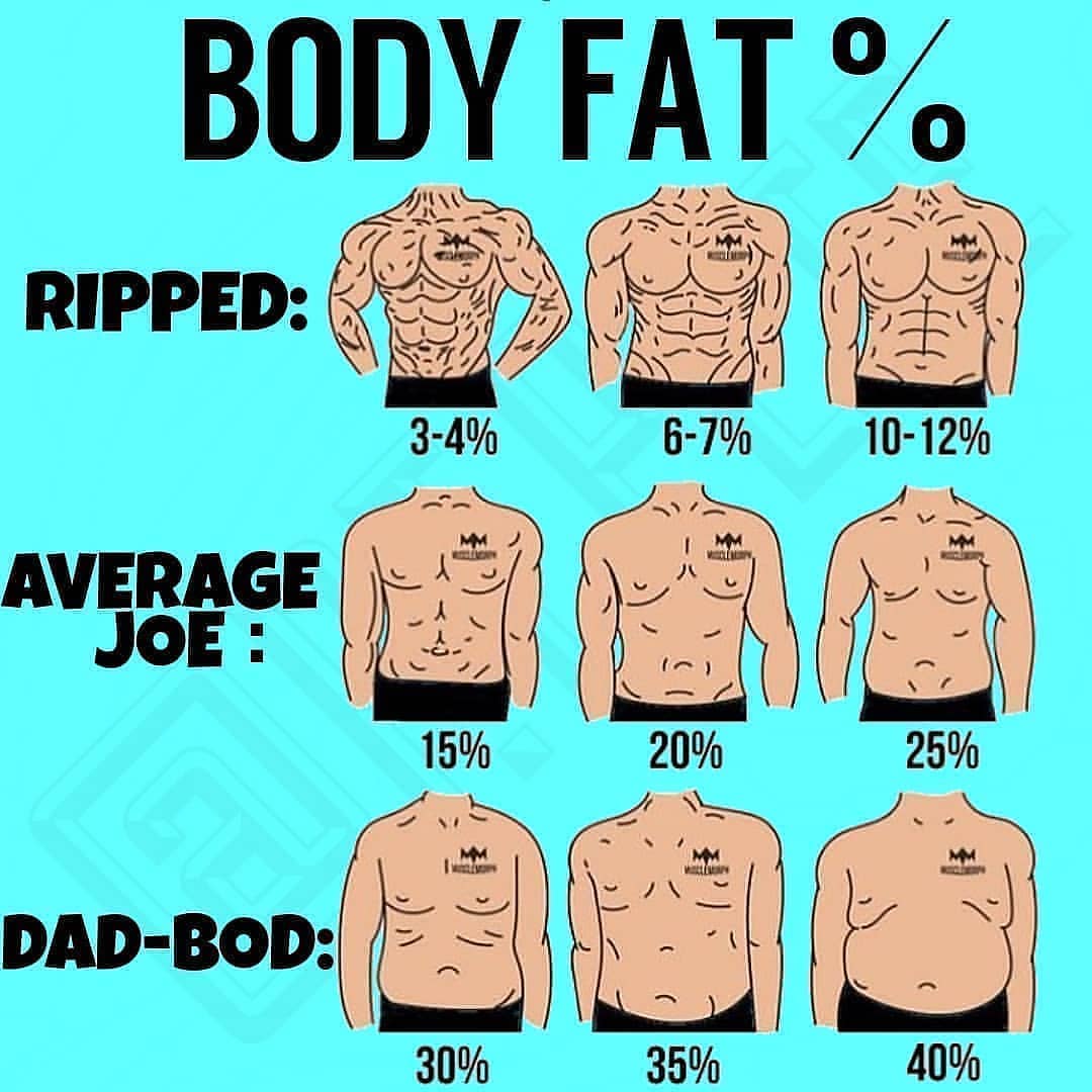 pictures of different body fat percentages