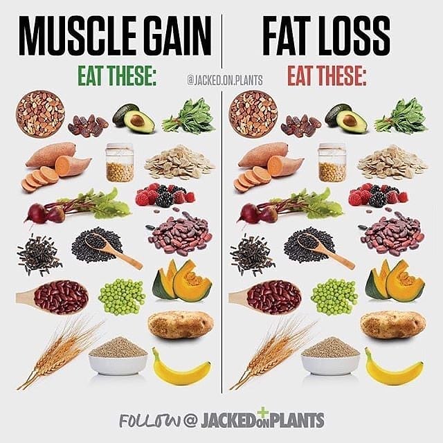 Foods for Muscle Gain and Fat Loss Please follow for more great content