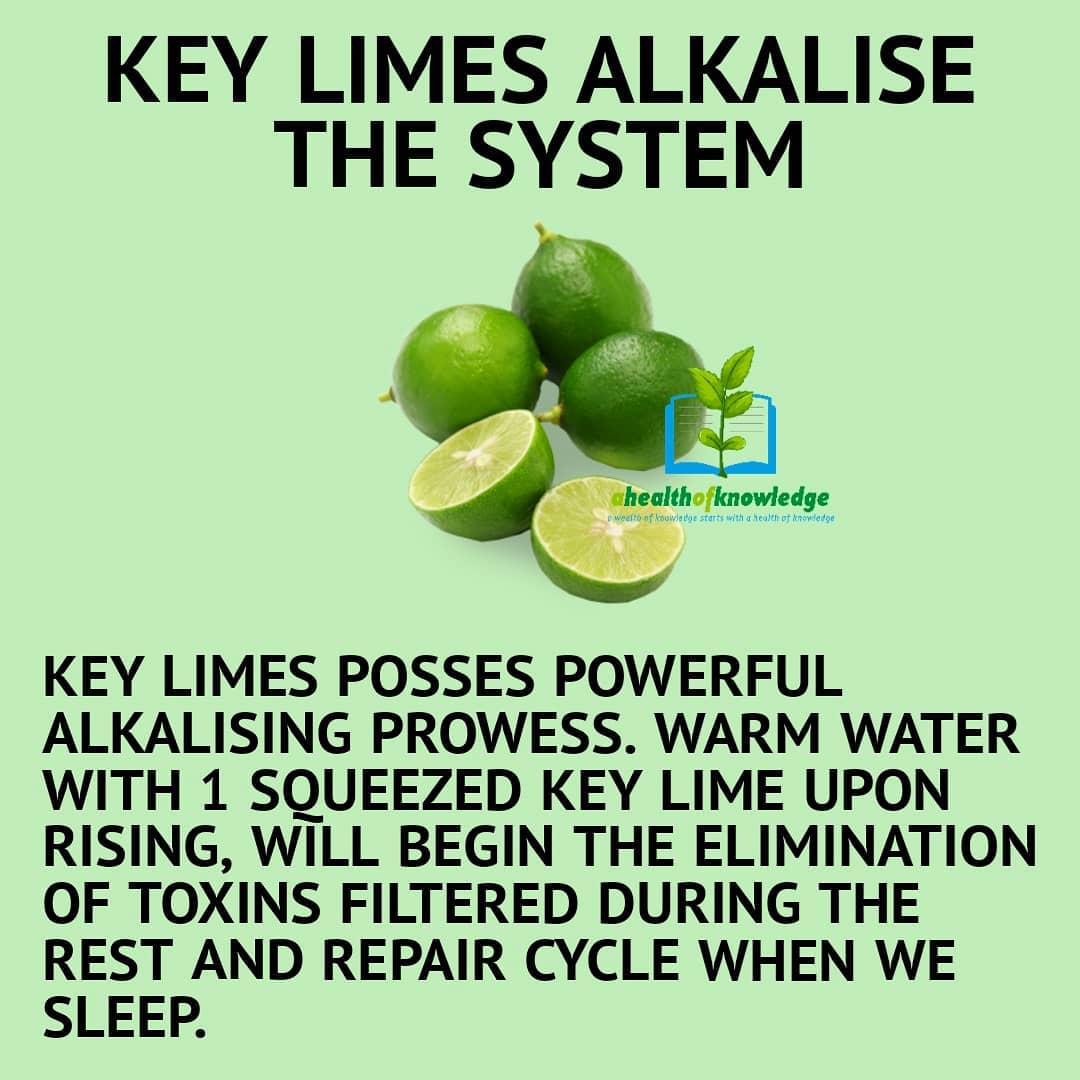 KEY LIMES SHOULD BE SEEDED! NO SEED? NO THANKS! 
.
.
.
.
.
                     …