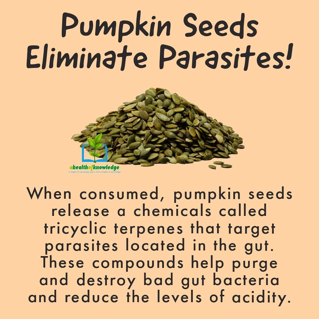 DO YOU EAT PUMPKIN SEEDS? 
.
.
.
.
.
                             …