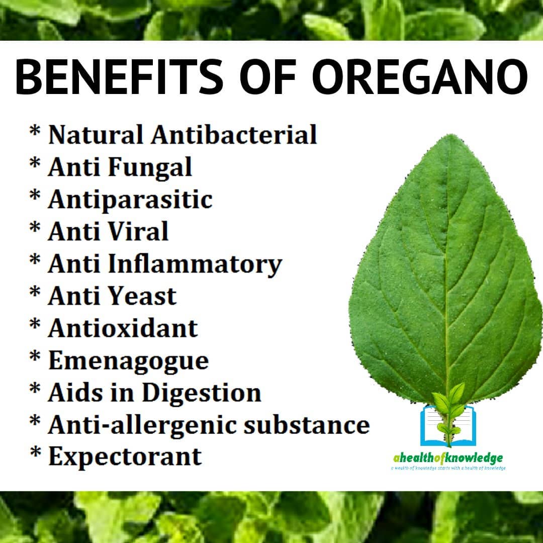 OIL OF OREGANO IS A GREAT WAY TO MAINTAIN A STRONG FUNCTIONAL IMMUNE RESPONSE! 
…