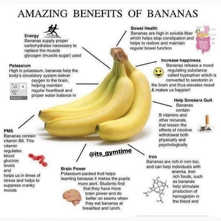 Do you like bananas ?

Please follow  for more great content!! Credit:

        …