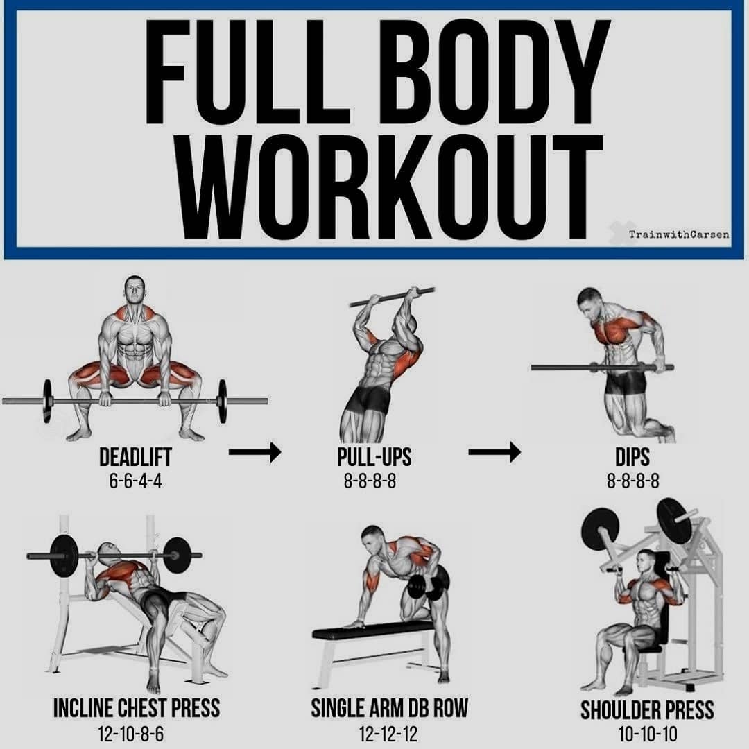 Full body workout   Please follow  for more great content!! Credit: 
          …