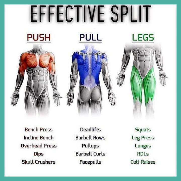 Some of the best exercises for different types of muscles

Please follow  for mo…