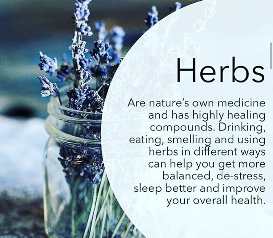 Herbs were put on this planet for our benefit.  Tag someone who needs to know th…