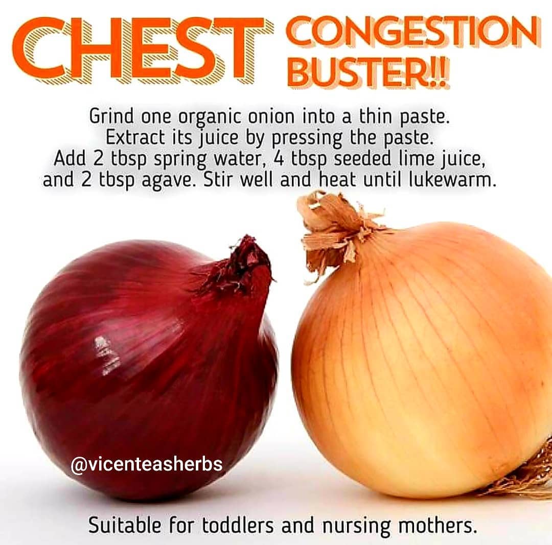 Onions are part of the alkaline family. .
.
.
.
.
.
.
.
.
.
.
.
.
.
.
.
.
.
.
.
…