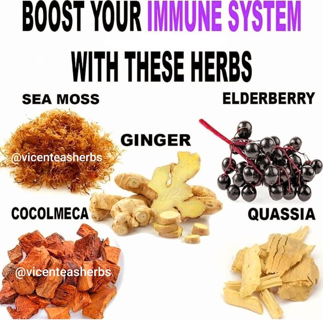 Boost your immune system with these plants.
.
.
.
.
.
.
.
.
.
.
.
.
.
.
.
.
.
.
…