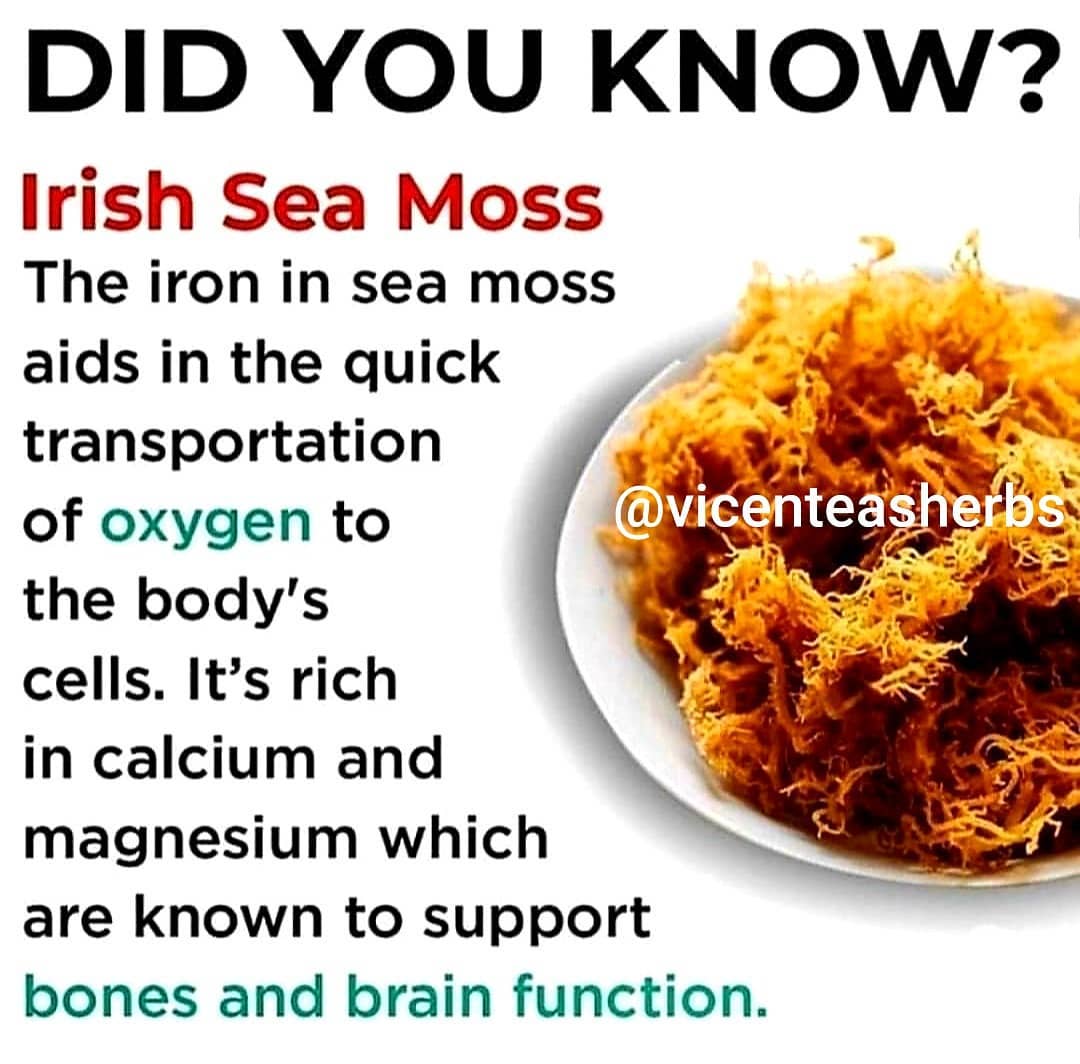 I have a limited supply of sea moss pills.  DM for more information.
.
.
.
.
.
….