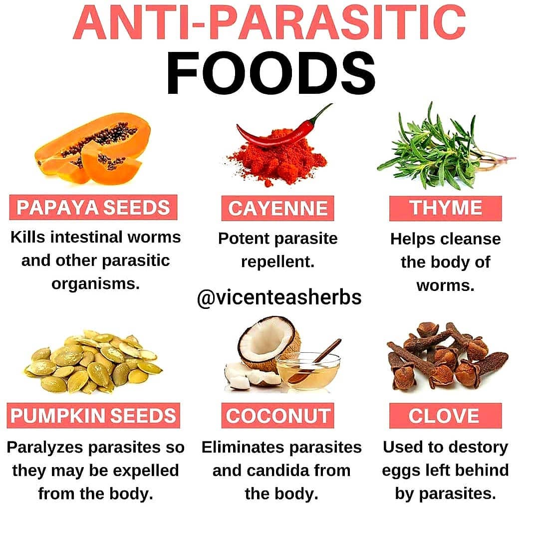 And if you don’t have time to eat all these things I have a parasite doomsday pi…