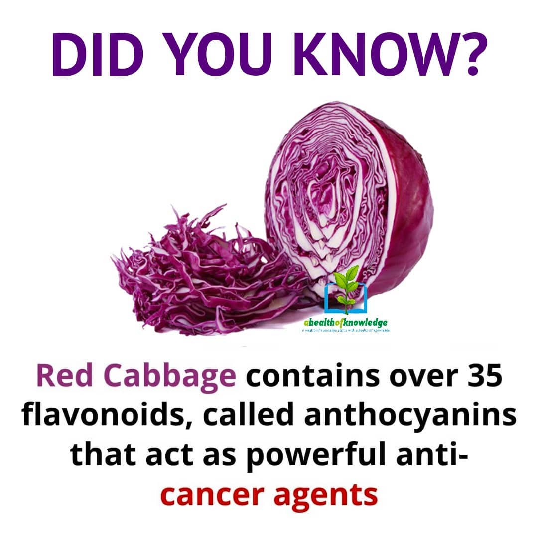 DID YOU KNOW THAT A RED CABBAGE RESEMBLES THE HUMAN BRAIN? 
.
.
.
.
.
          …