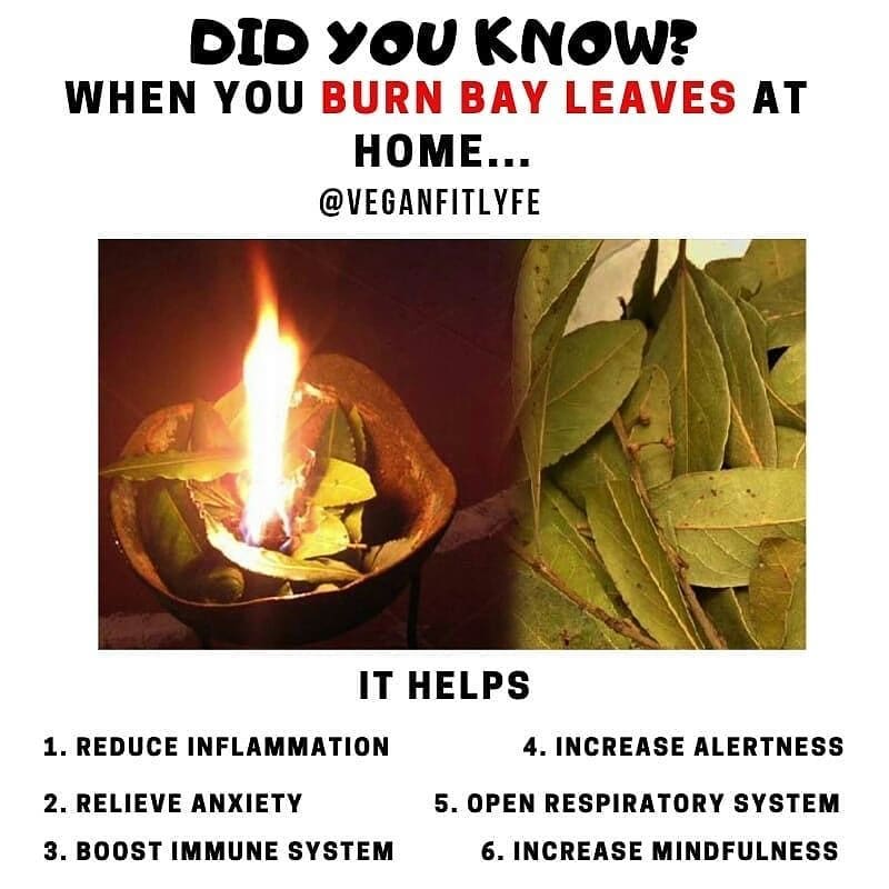 Benefits of burning bay leaves in your house by 
.
Tag a friend who would like t…