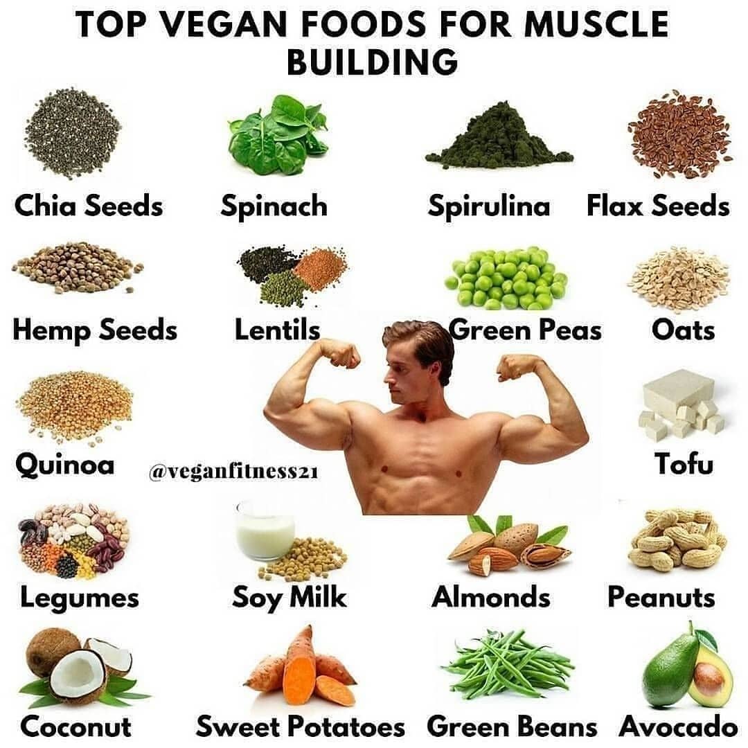 Top Vegan Foods For Muscle Building

For my vegan fan base getn SWOLE
.
Follow  …