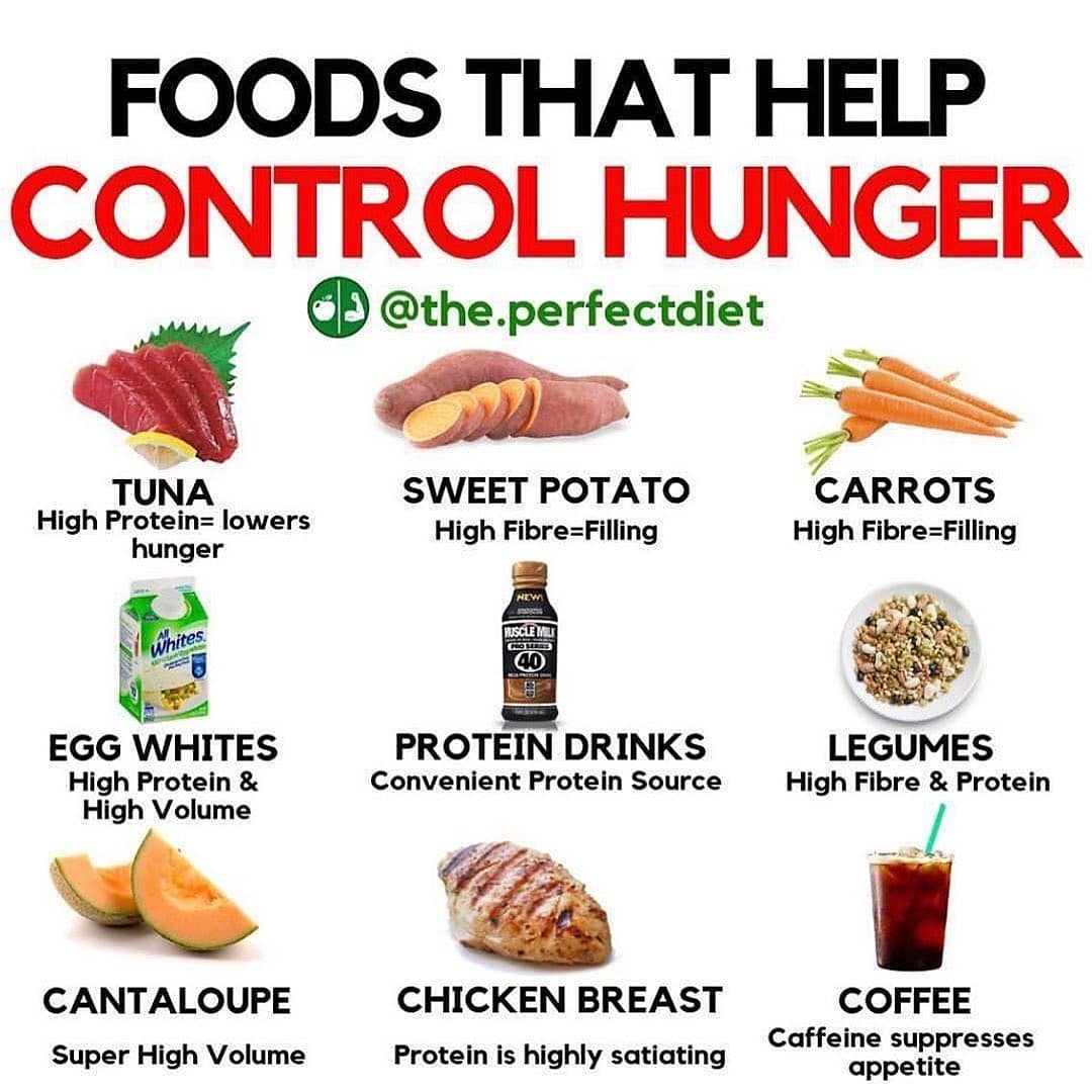 FOODS THAT HELP CONTROL HUNGER

Credit:

Please follow  for more great content!!…