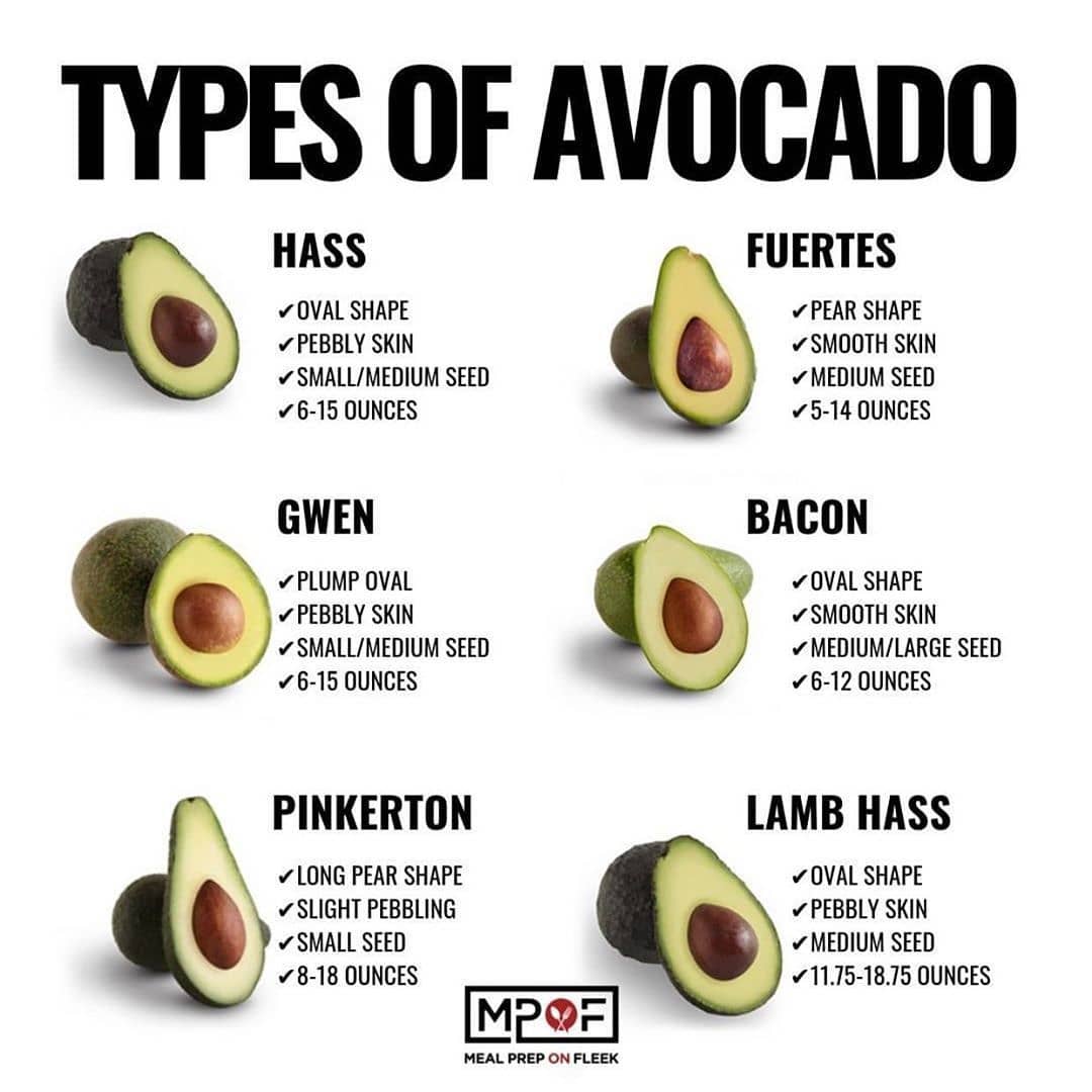 Please follow  for more great content!! Credit-  Get to know your avocados! ⠀
A …