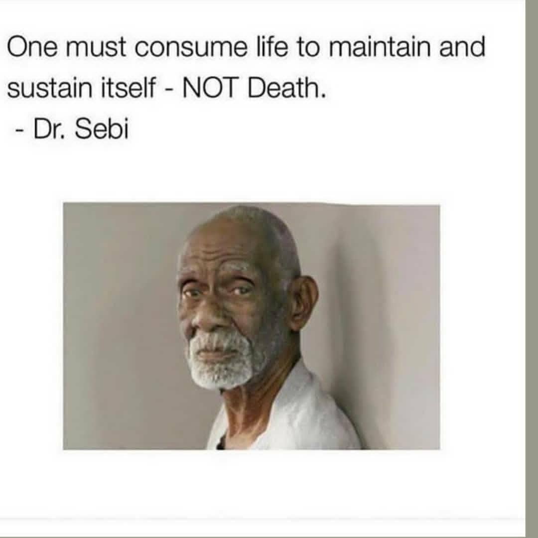 Dr. Sebi Alkaline Vegan Nutritional Guide, Real food, Natural Holistic Healing 
…