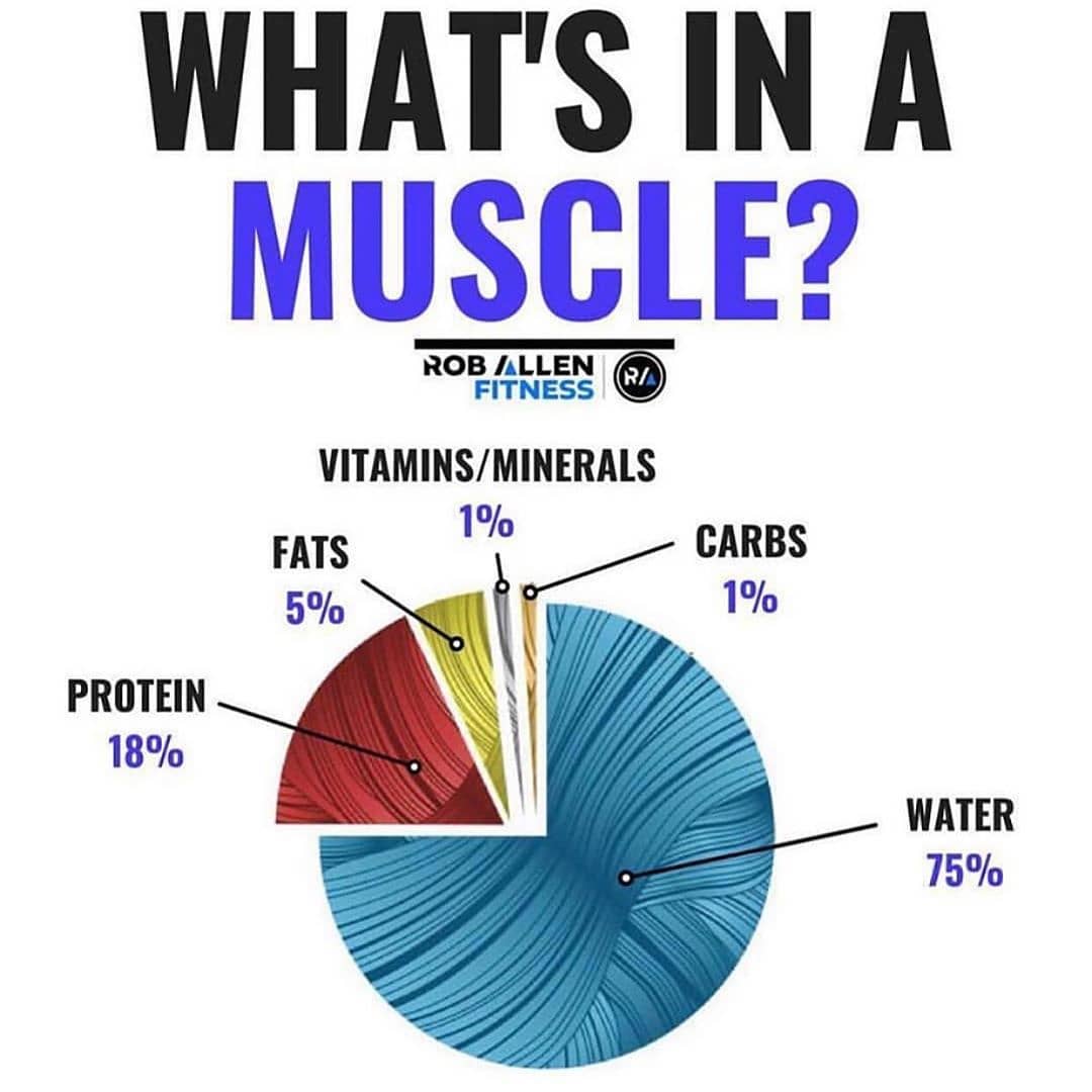 What’s in a muscle?
.
Please follow  for more great content!!
.
So we want our m…