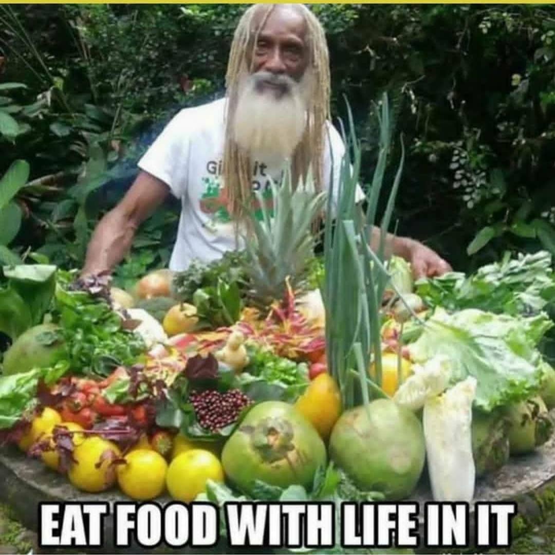 Dr. Sebi Alkaline Vegan Nutritional Guide, Real food, Natural Holistic Healing 
…