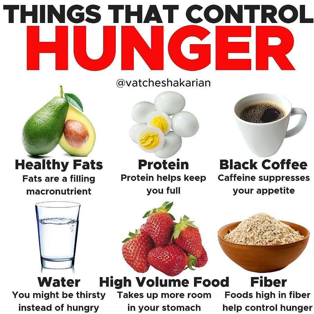 Things that control hunger⁣ Please follow  for more great content!! When we are…