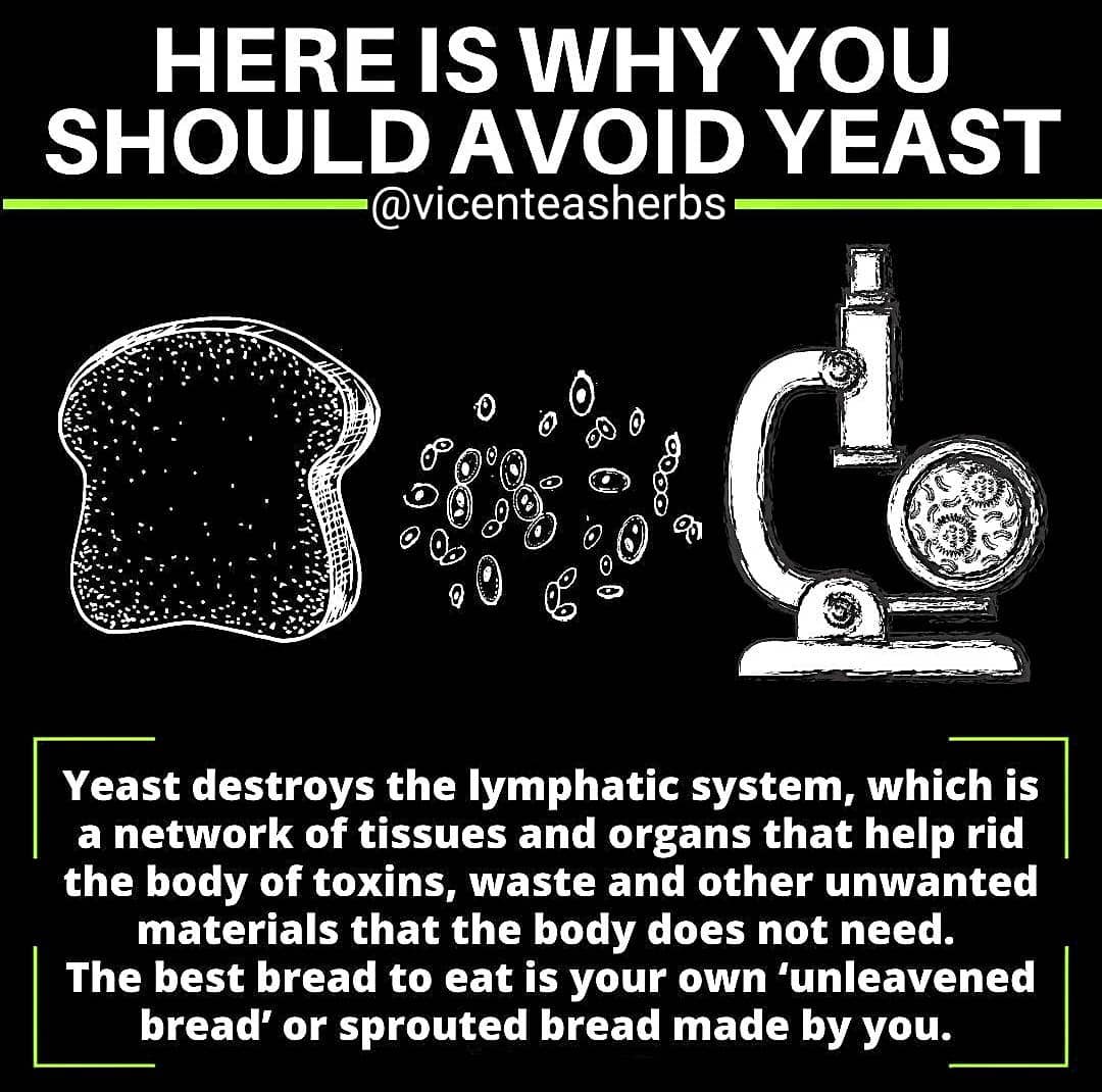 Yeast destroys the lymphatic system, which is a network of tissues and organs th…