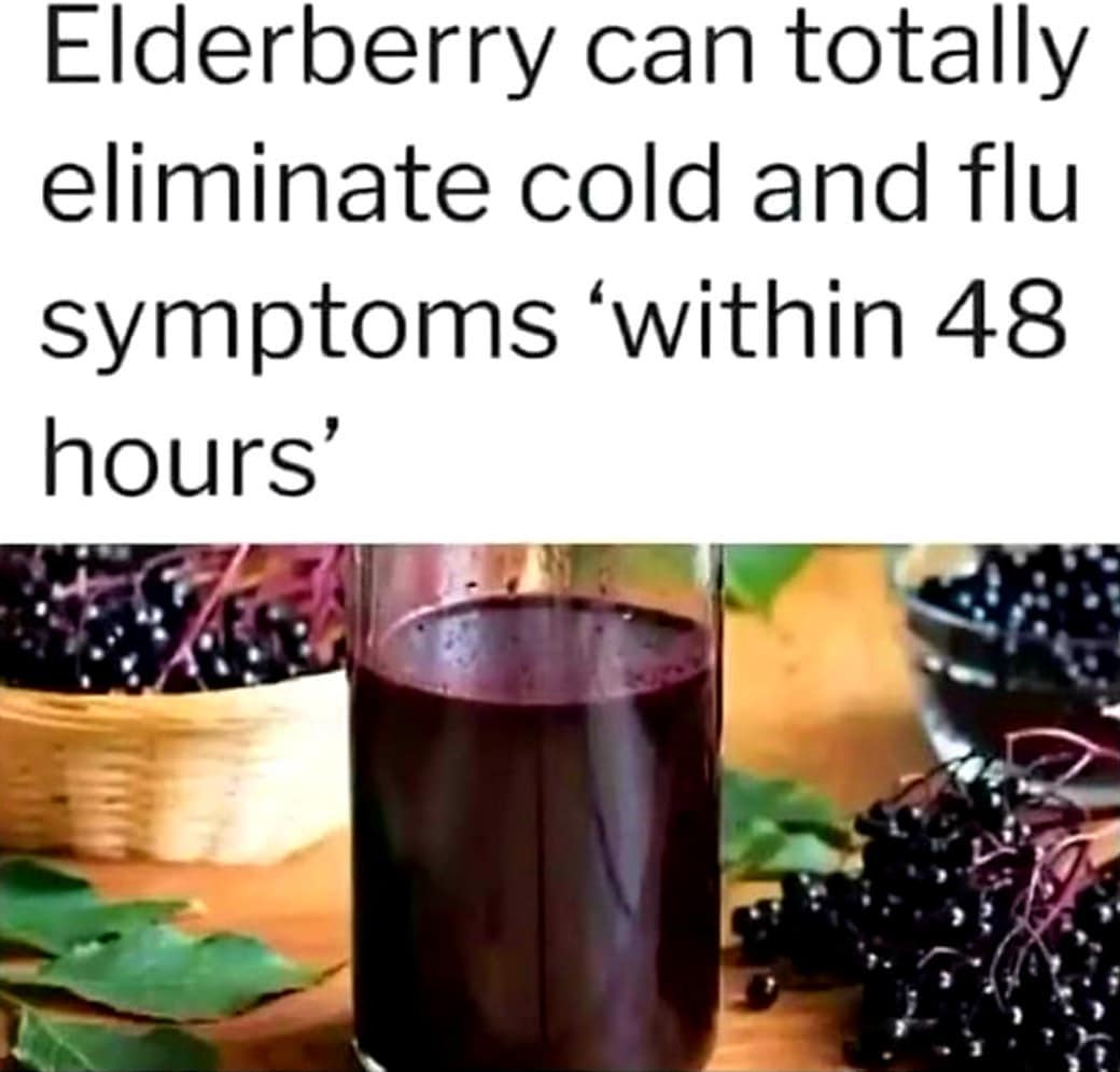 Have you discovered the power of elderberry yet? 
.
.
.
.
.
.
.
.
.
.
.
.
.
.
.
…