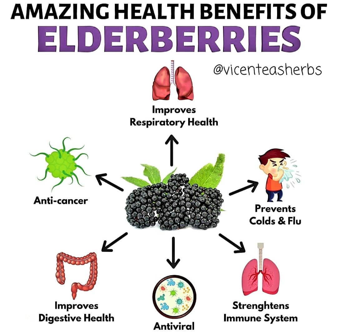 Elderberry can be very effective at preventing a cold.
.
.
.
.
.
.
.
.
.
.
.
.
….