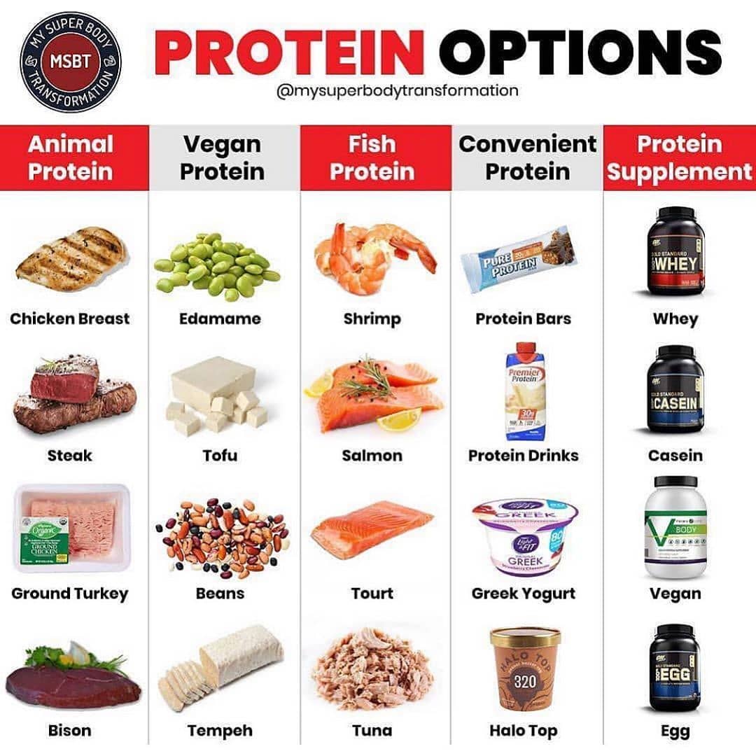 GREAT PROTEIN OPTIONS ⠀
-⠀ Please follow  for more great content!!
Protein is on…