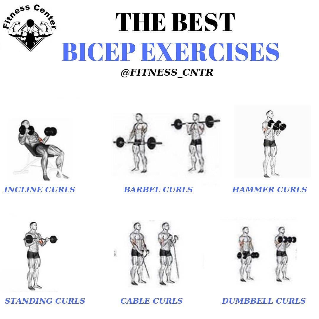 THE BEST BICEP EXERCISES 


Please follow  for more great content!!
Tag your fr…