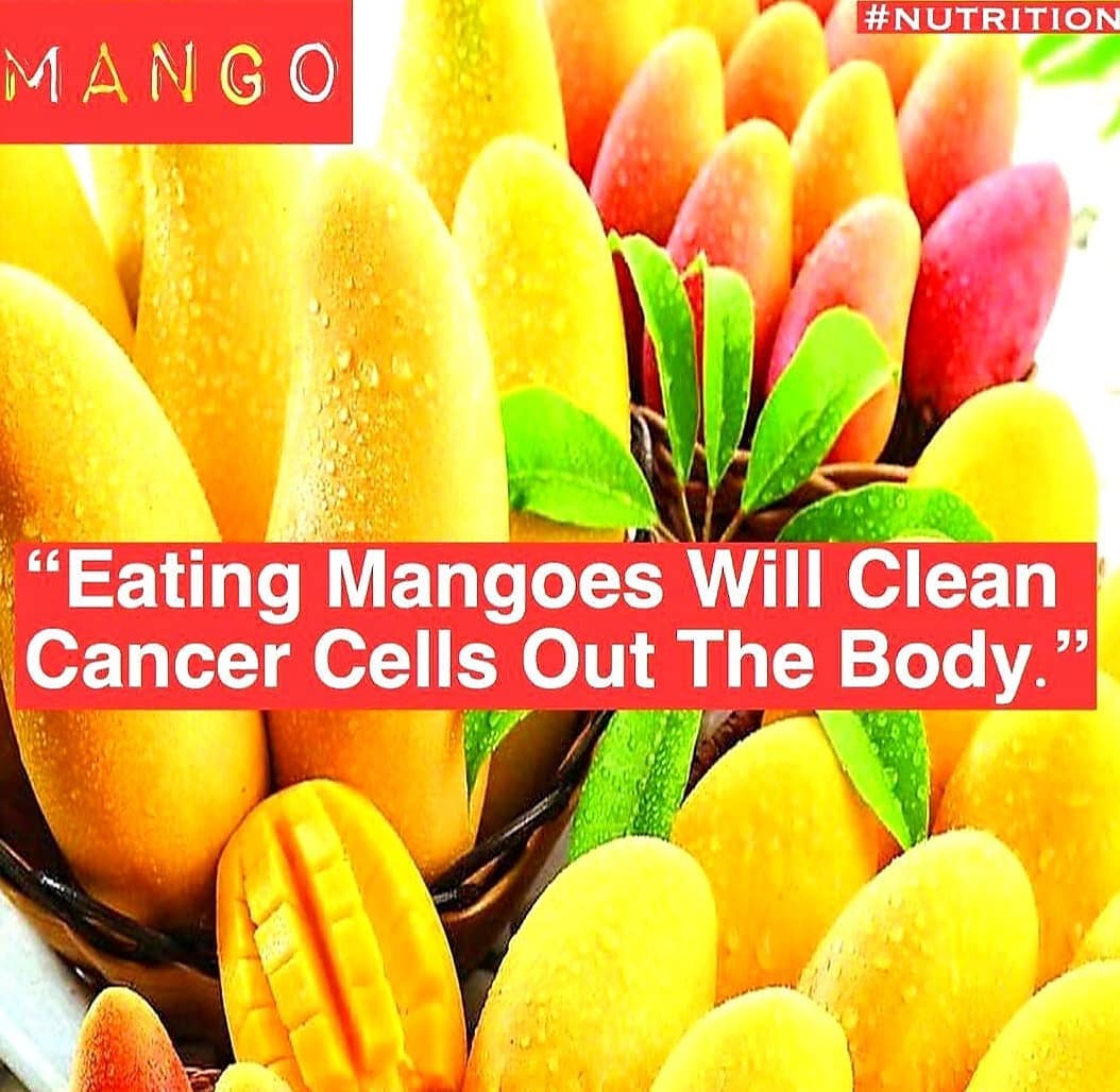 Mangoes are one of my favorite fruits. 
.
.
.
.
.
.
.
.
.
.
.
.
.
.
.
.
.
.
.
.
…